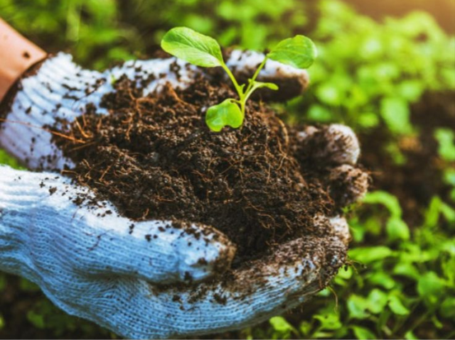 untitled design 2025 09 03t113126.151